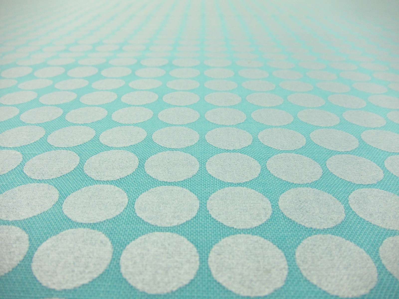 Cotton Broadcloth Print2