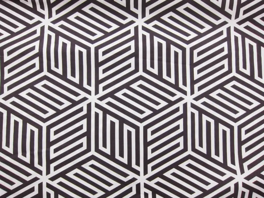 Cotton Broadcloth Print0