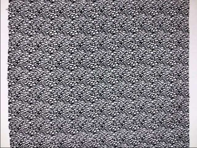 Corded Chantilly Lace3