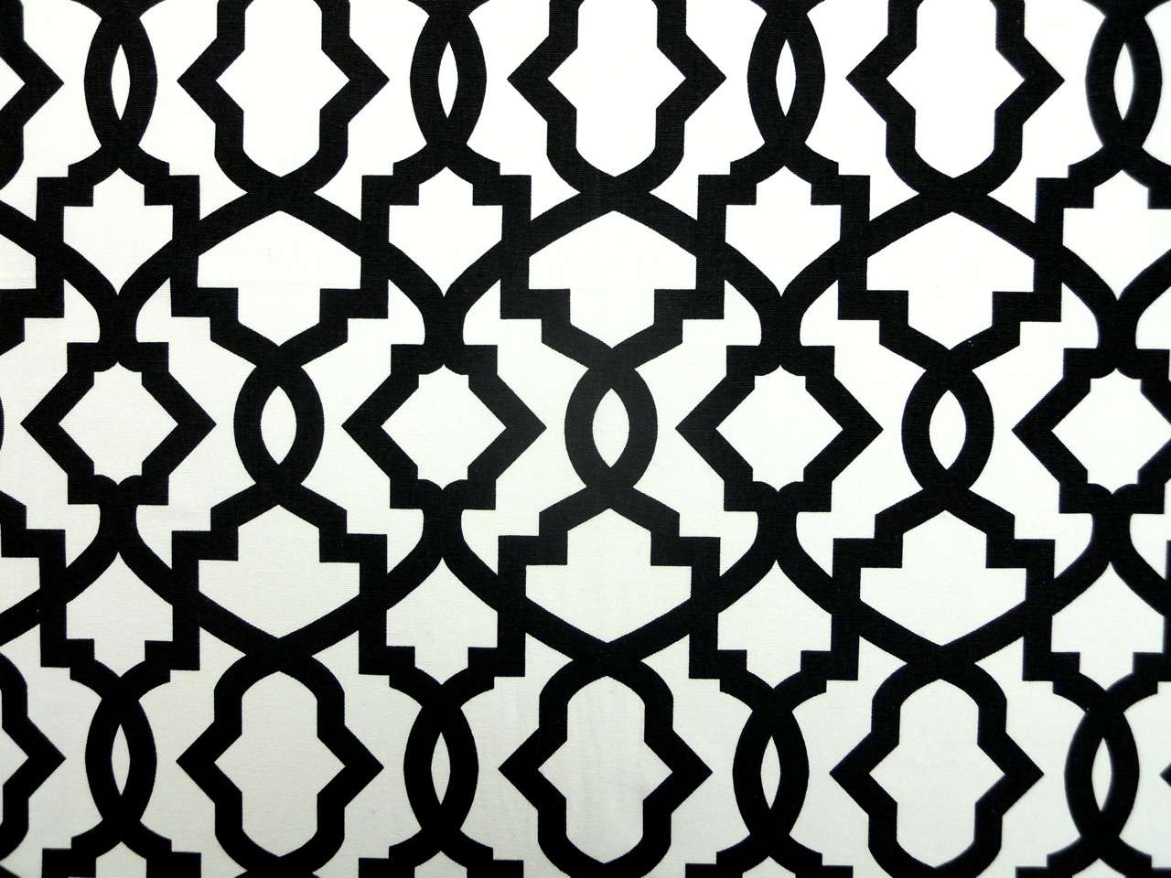 Black Imperial Trellis Cotton Canvas Print