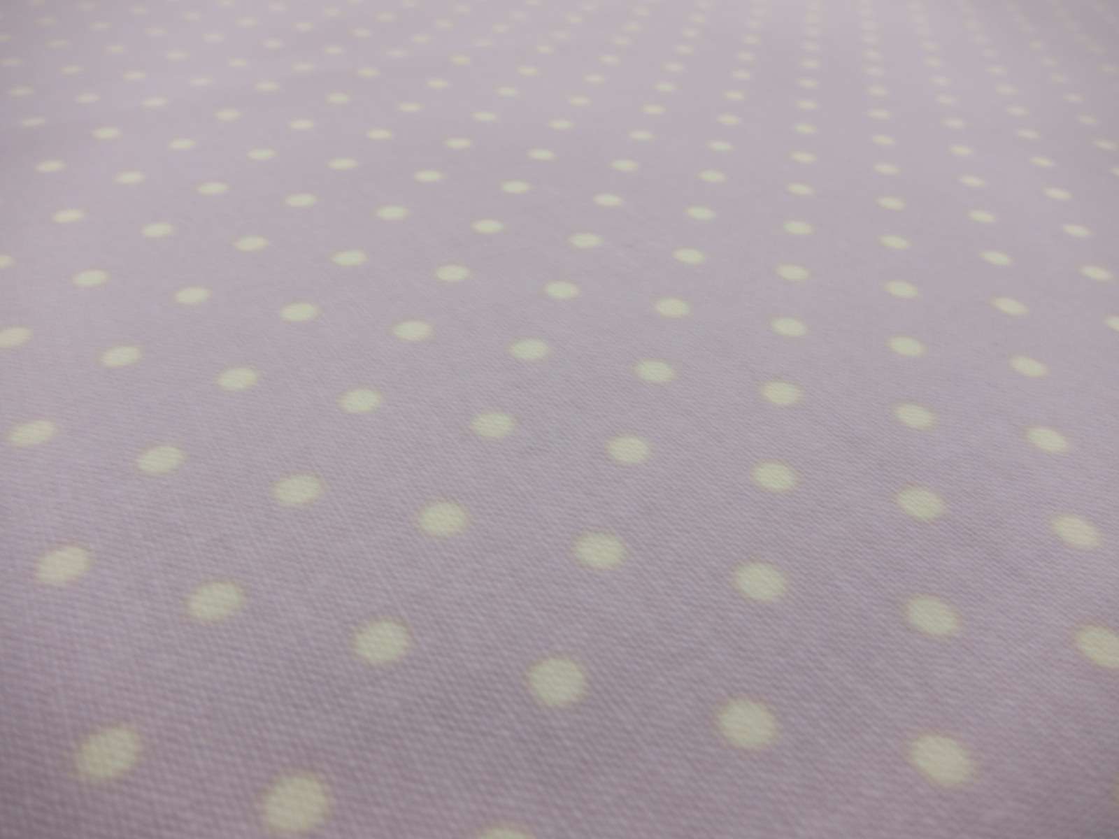 Cotton Broadcloth Print2