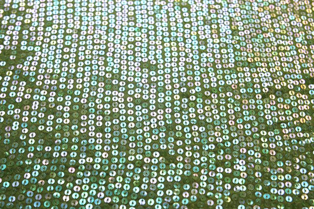 Sequins on Silk Chiffon0