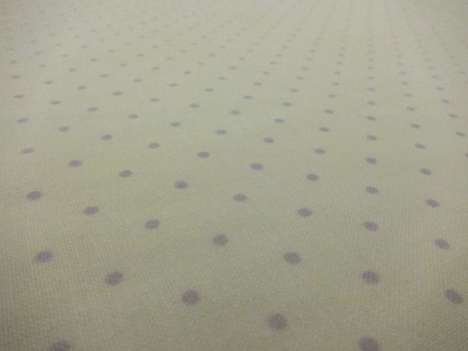 Cotton Broadcloth Print2