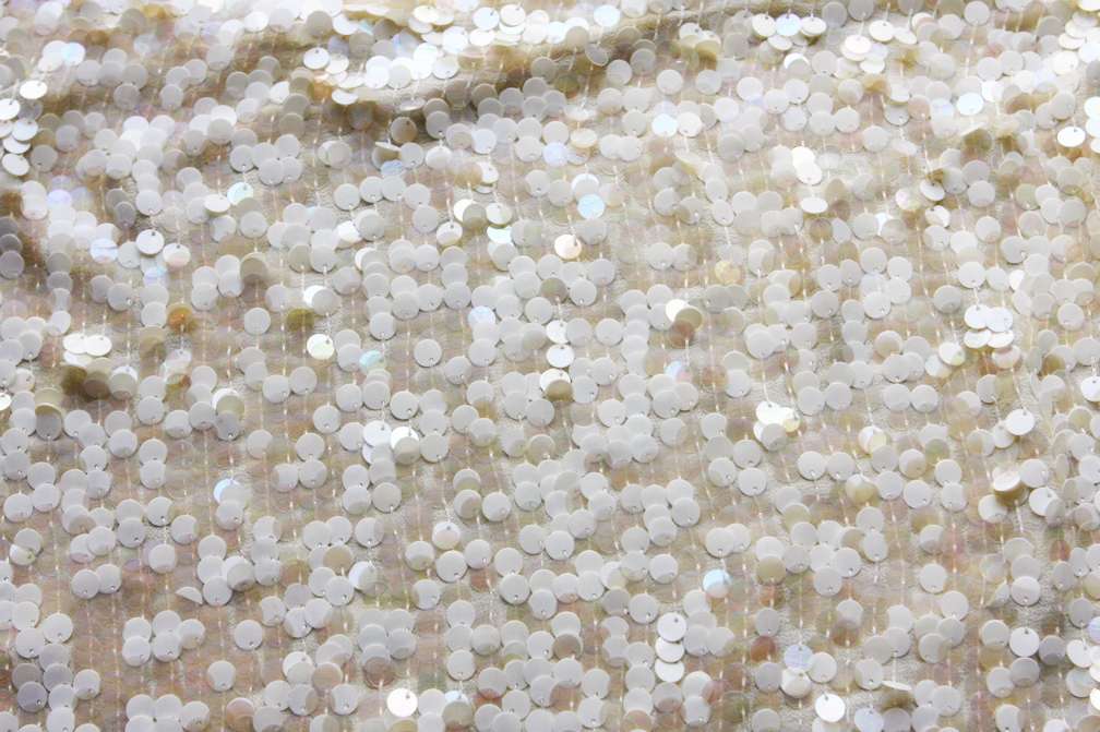 Novelty Paillettes on Silk Chiffon1