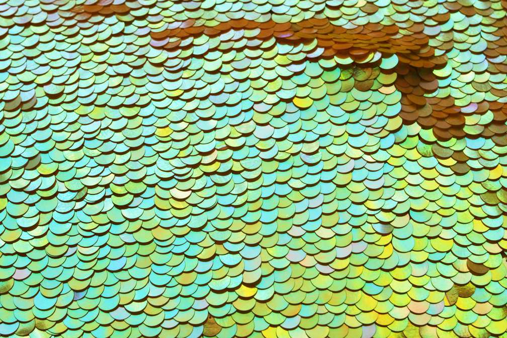 Paillettes on Silk Chiffon1