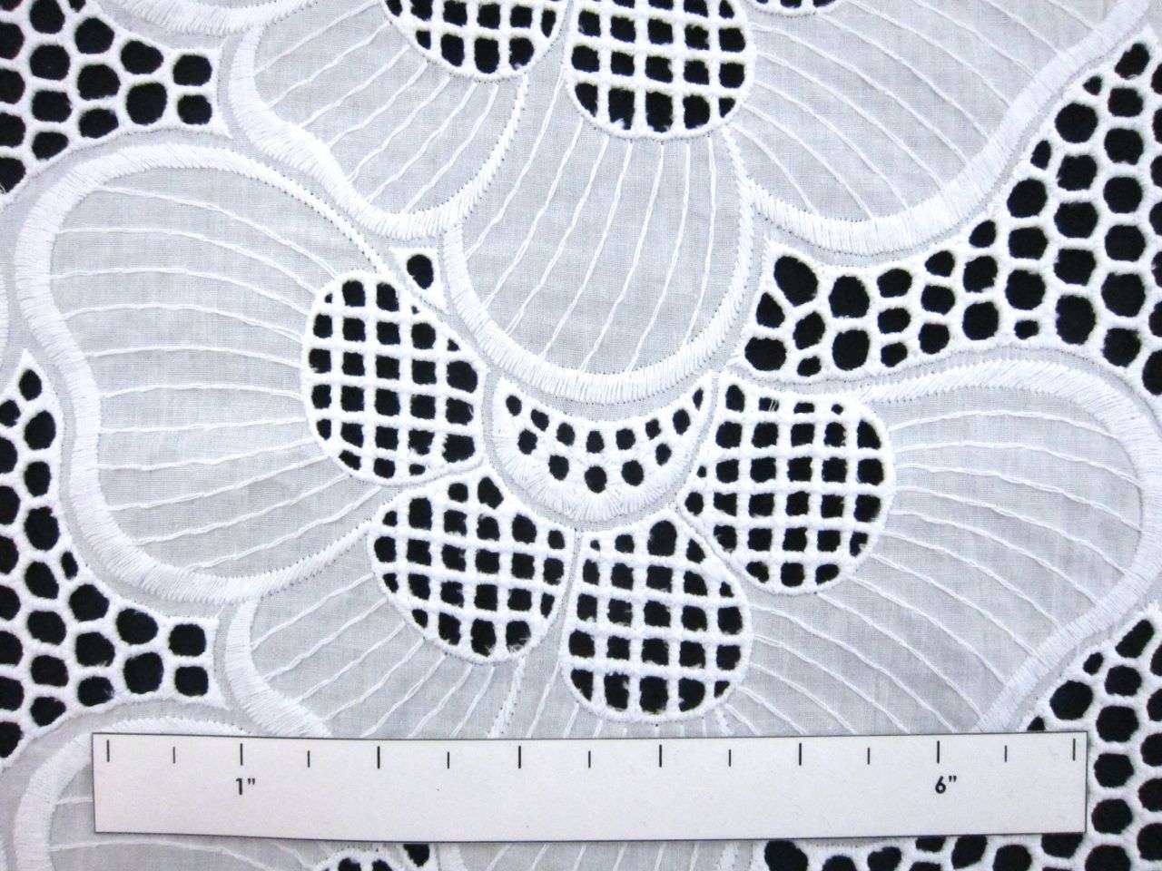 Cotton Eyelet1