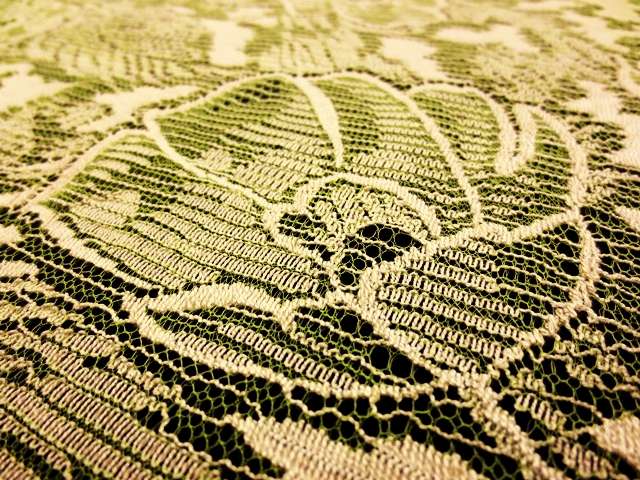 Chantilly Lace2