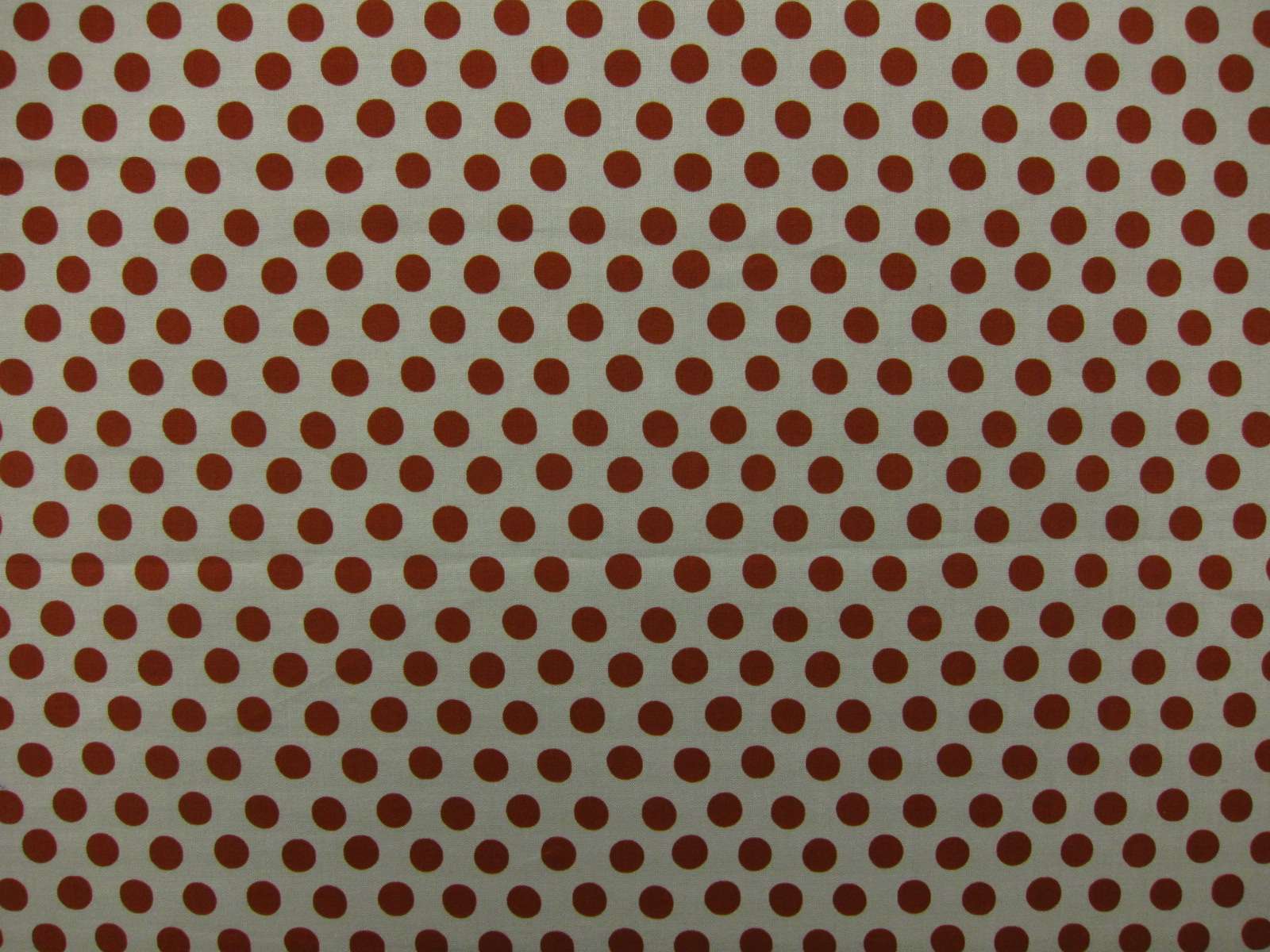 Cotton Broadcloth Print0