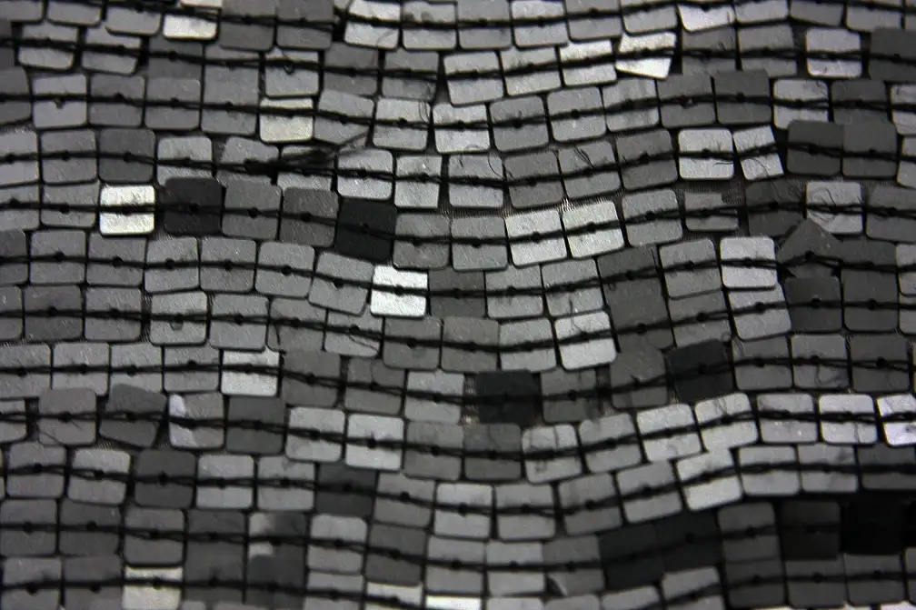 Sequins on Silk Chiffon0