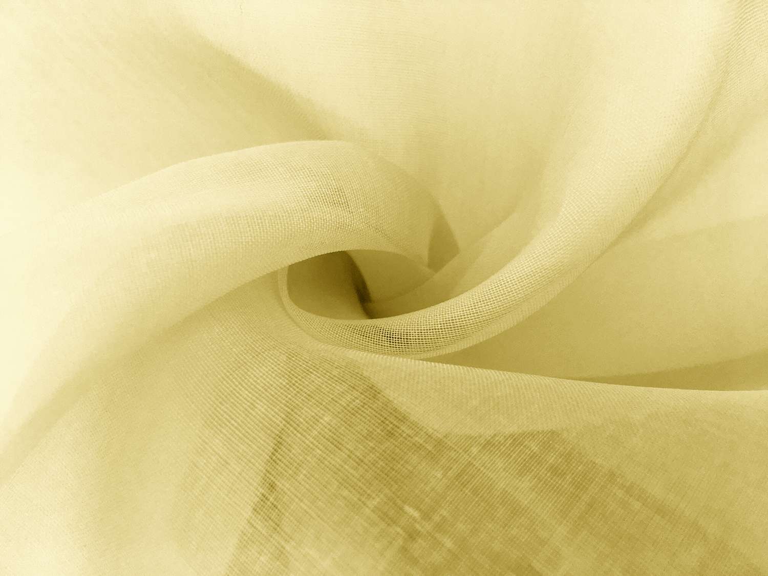 Swiss Cotton Organdy in Yellow0