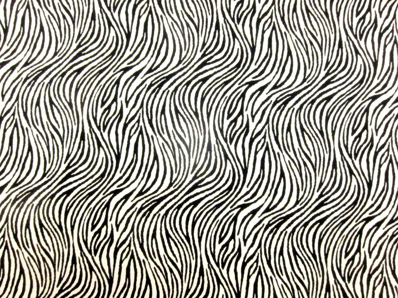 Printed Silk Charmeuse0