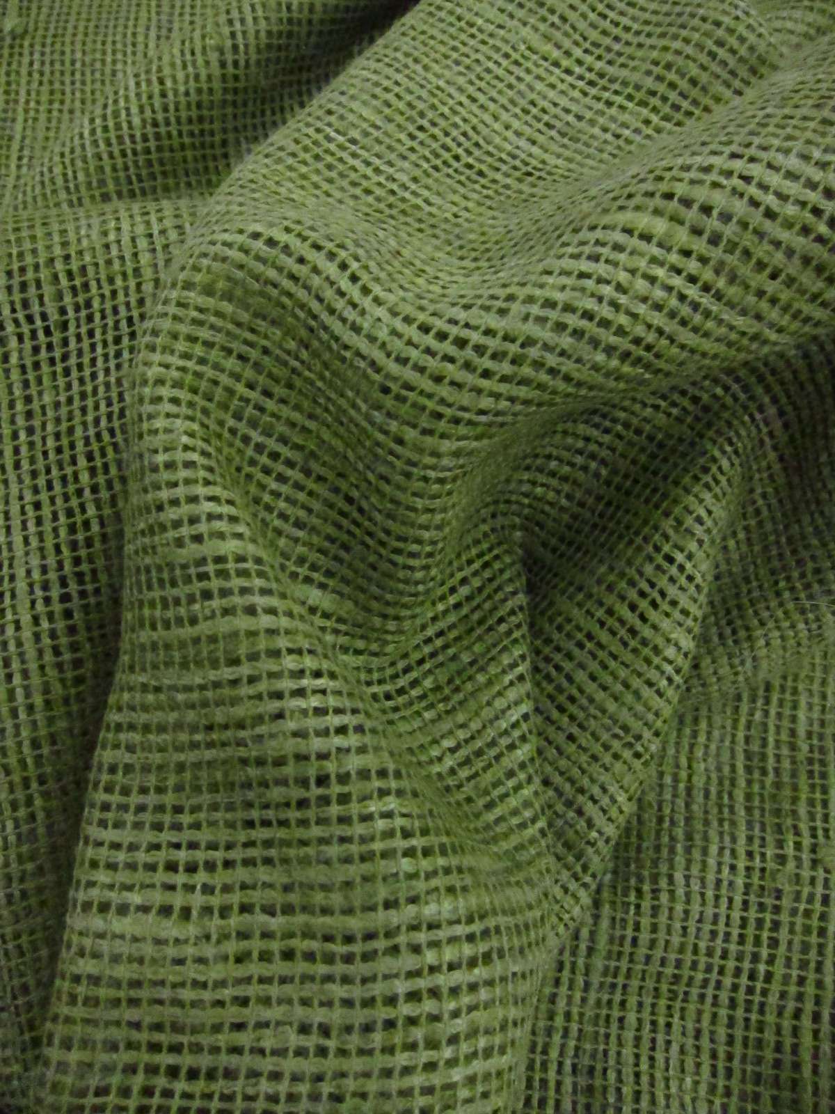 Silk Mesh1
