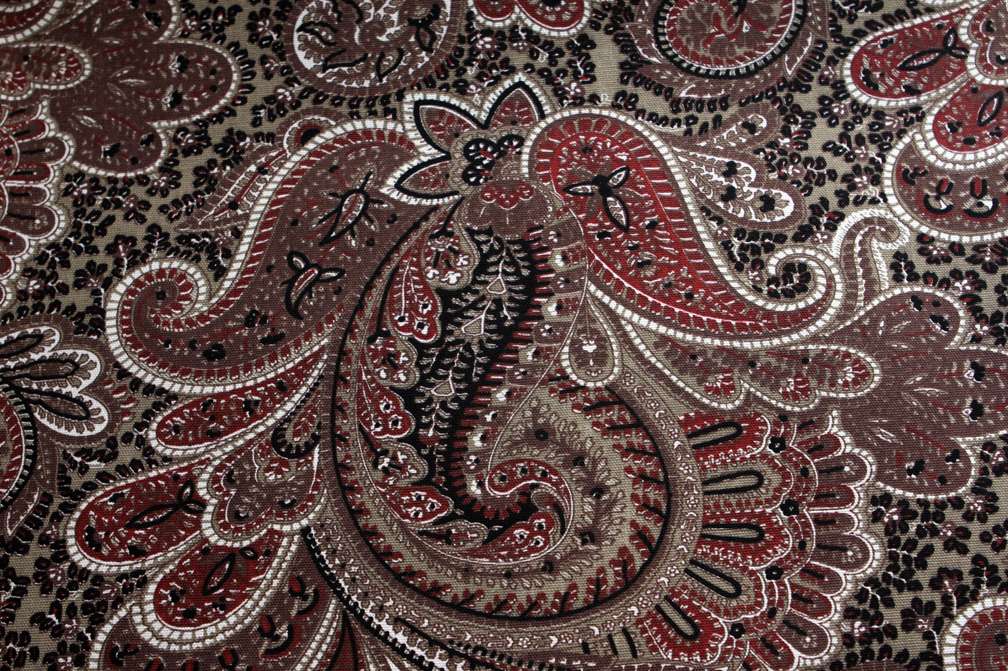 Printed Cotton Canvas0