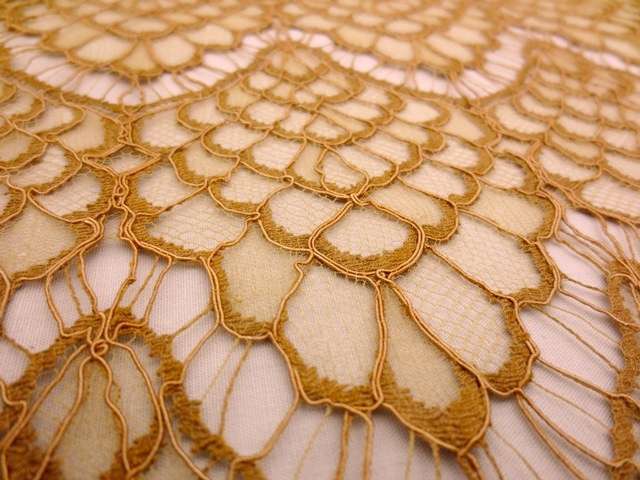 Corded Chantilly Lace2