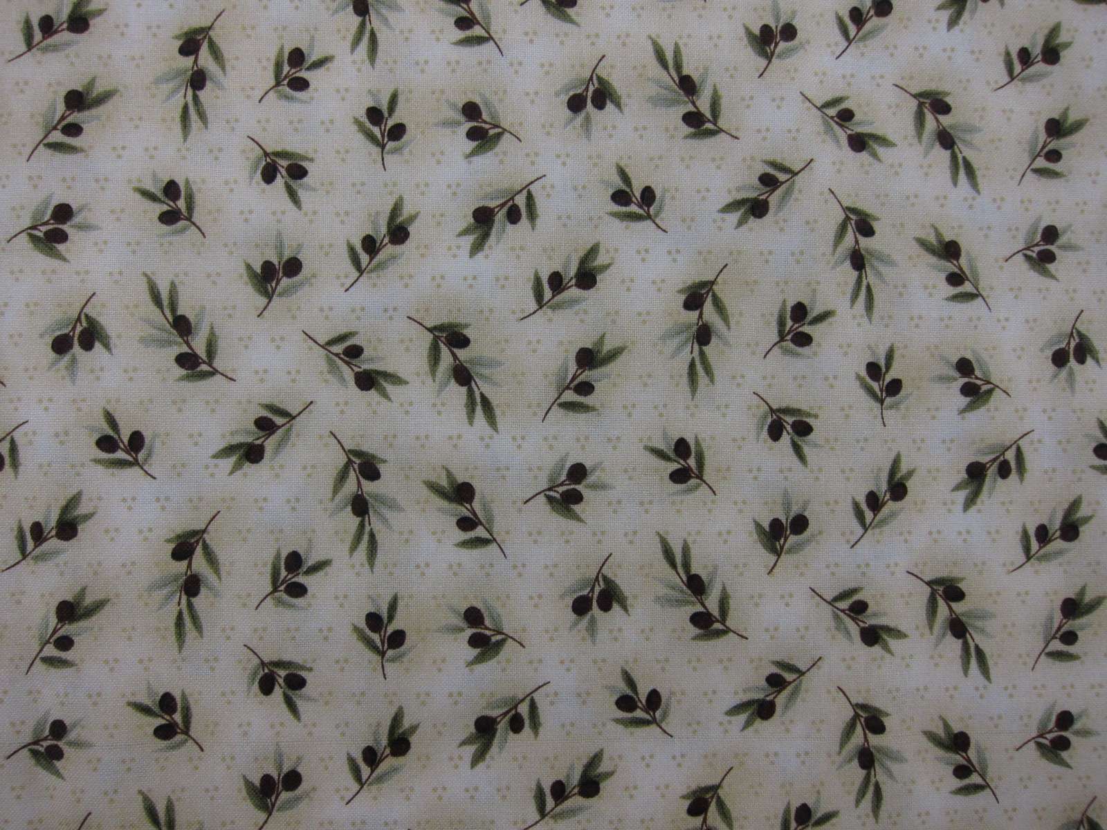 Cotton Broadcloth Print0