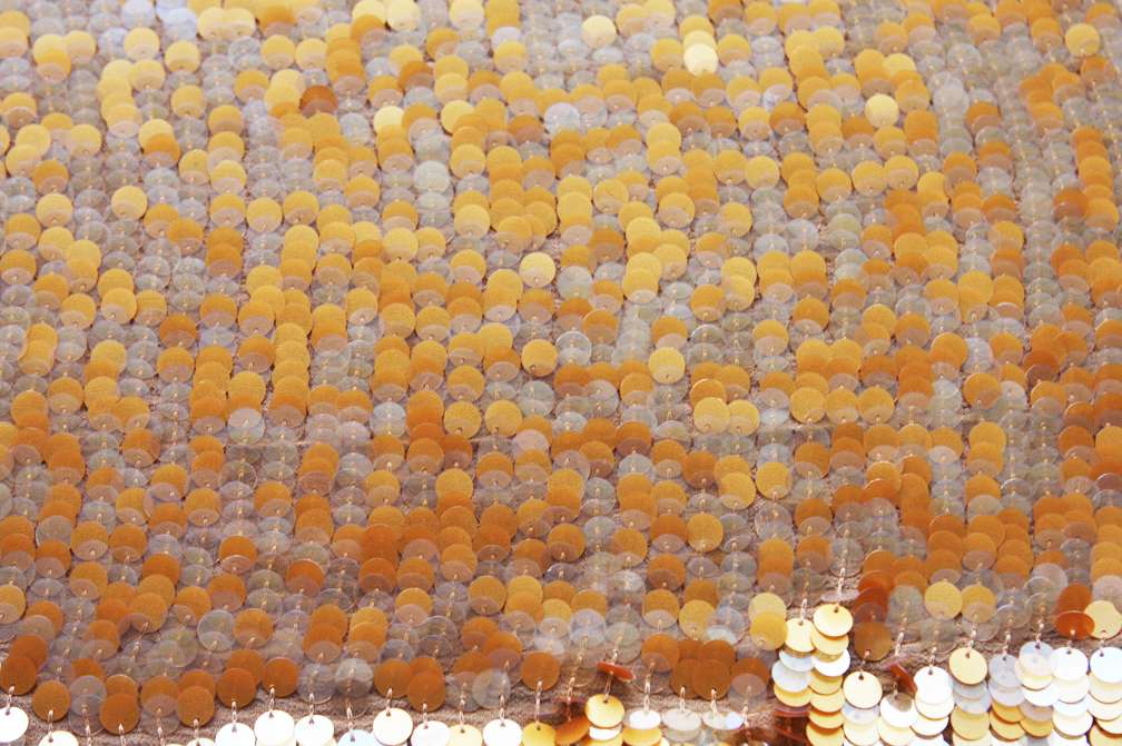 Pailettes on Silk Chiffon0