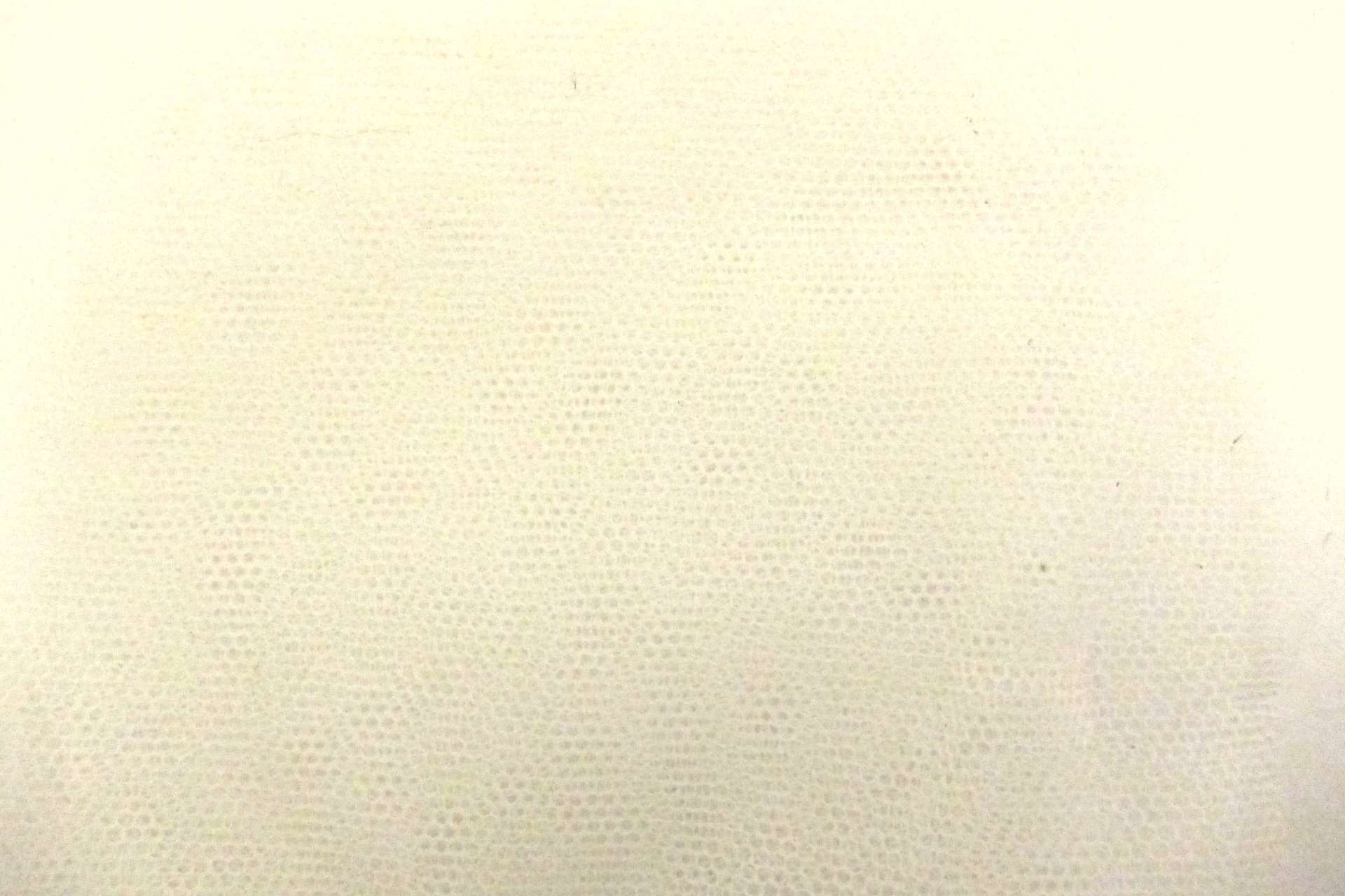 Italian Nylon Tulle in Avorio0