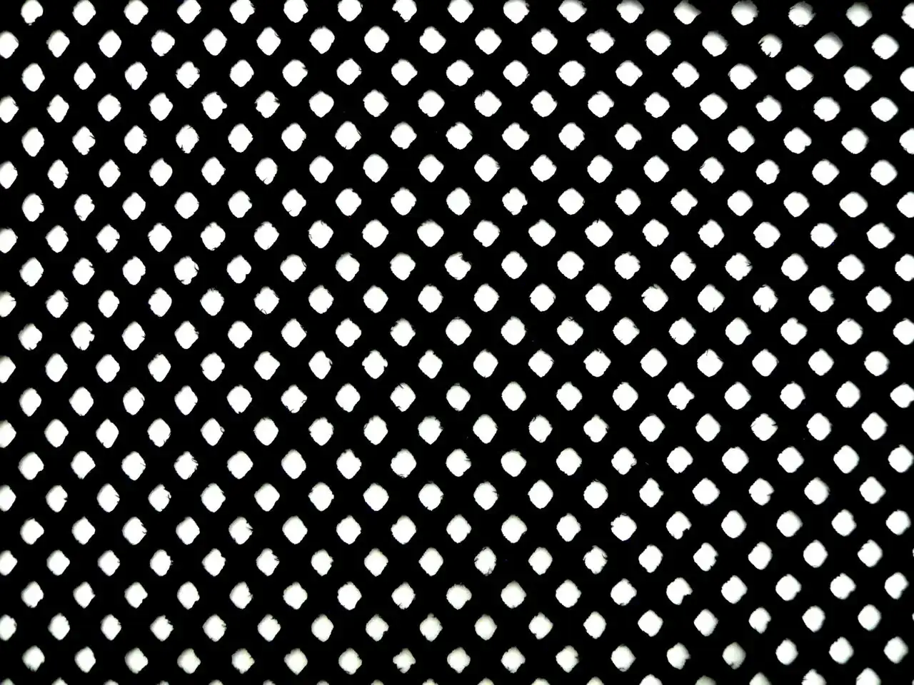 Cotton Eyelet0