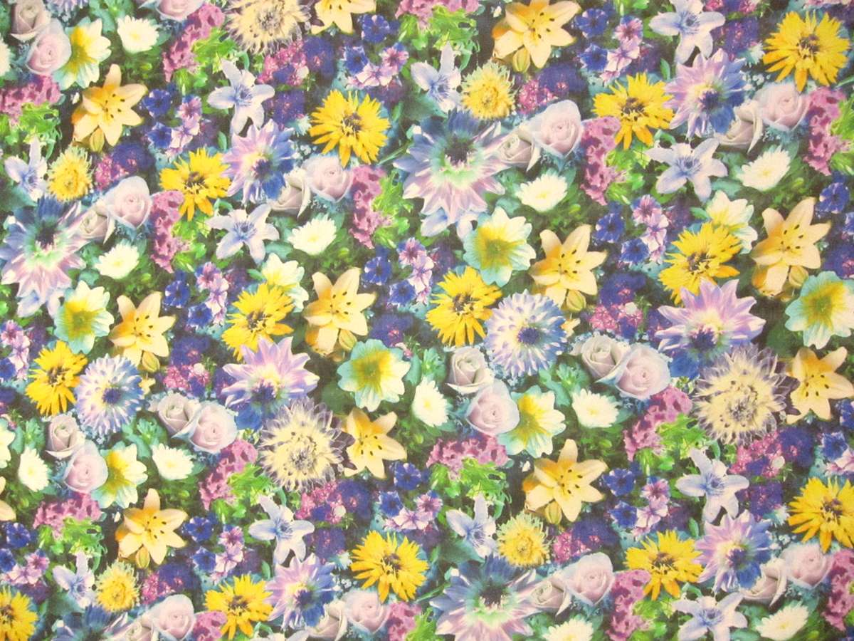 Printed Silk Chiffon0