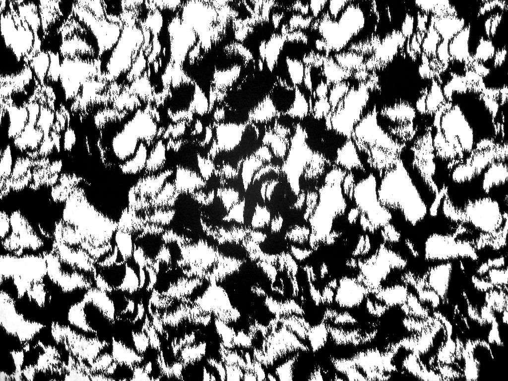 Liquid Look Printed Twill0