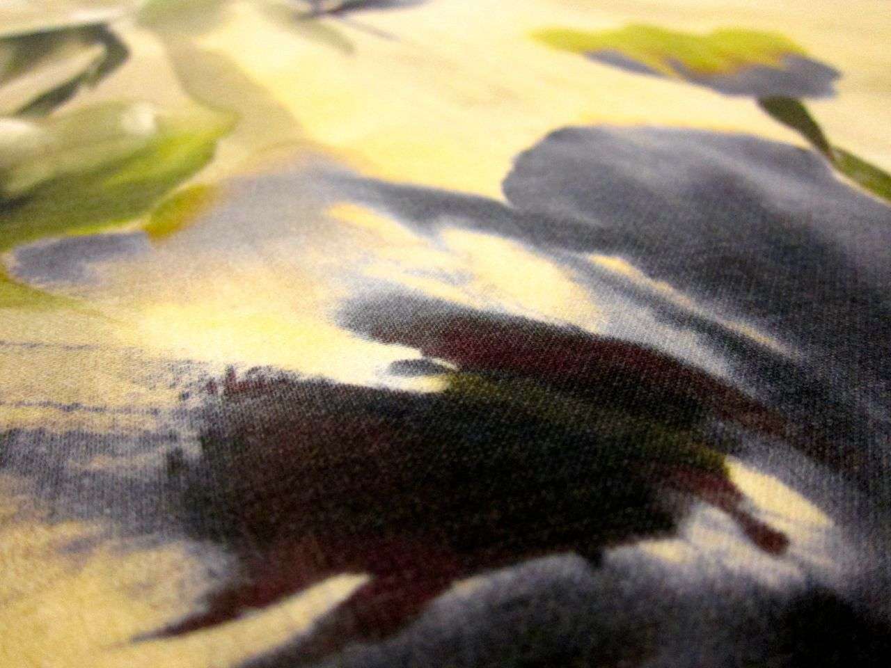 Printed Silk and Wool Gazar2