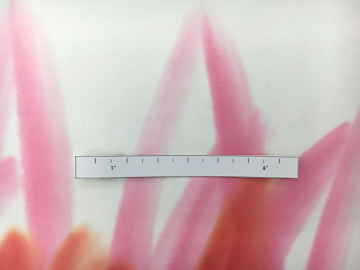 Hand Painted Silk Chiffon1