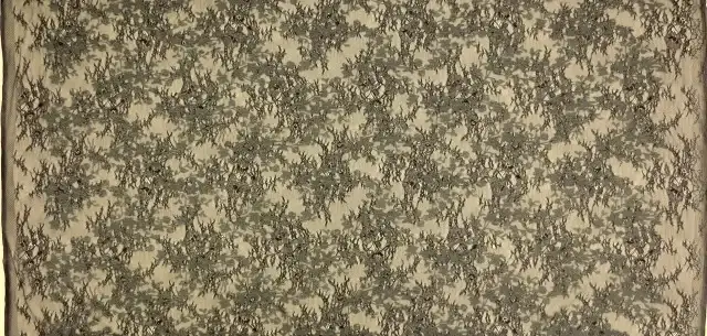Embroidered Chantilly Lace3