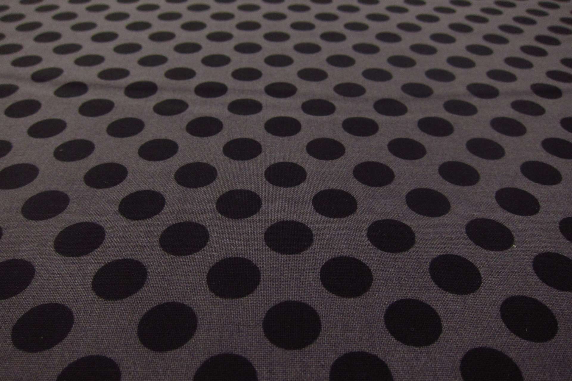 Cotton Broadcloth Print2
