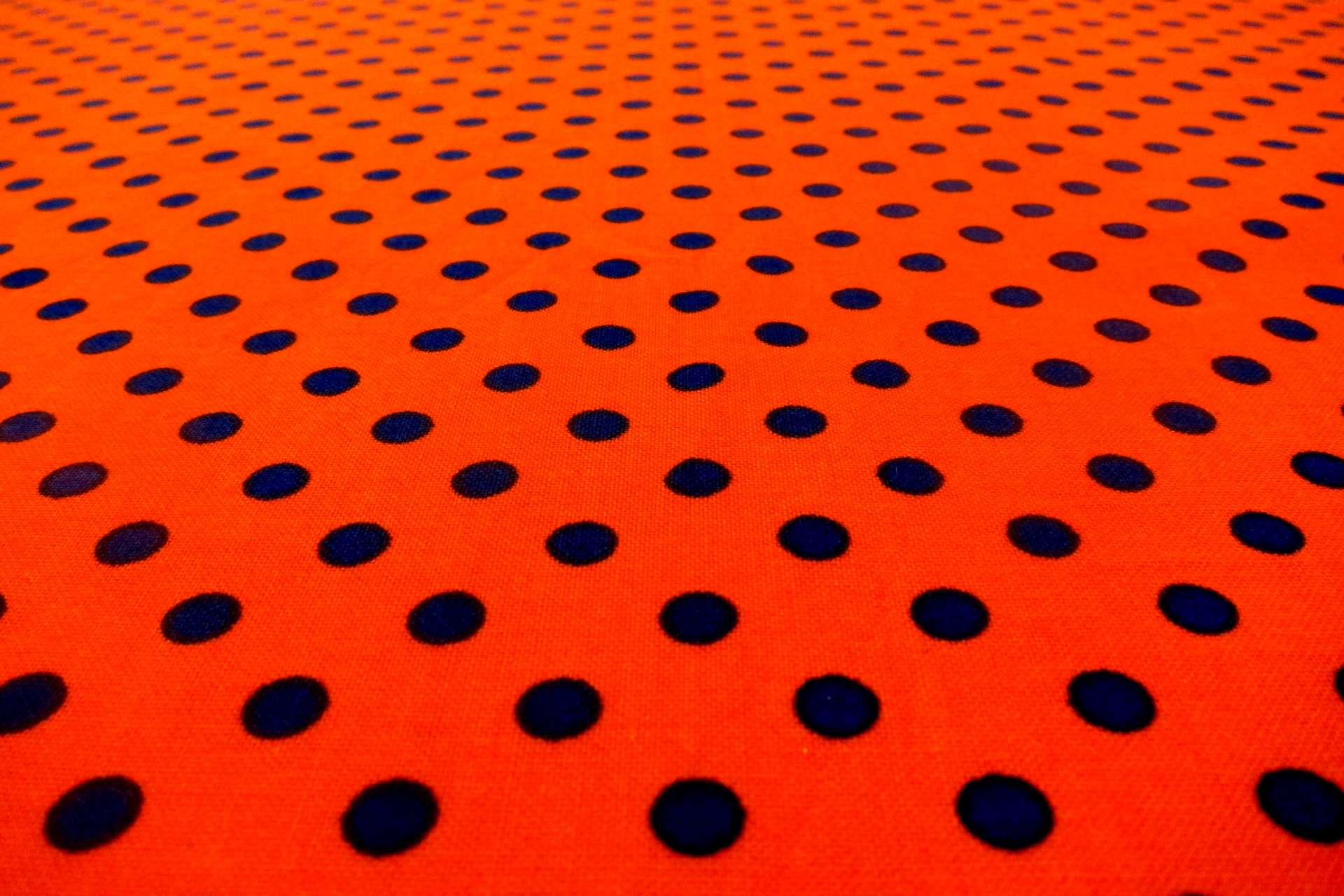 Cotton Broadcloth Print2