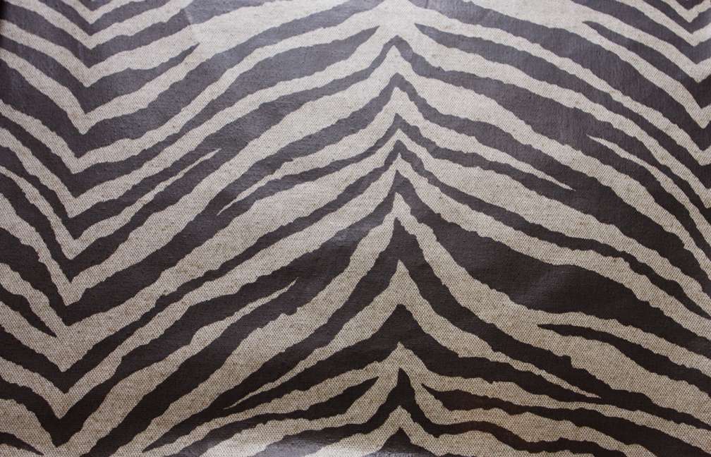 Coated Cotton Print0