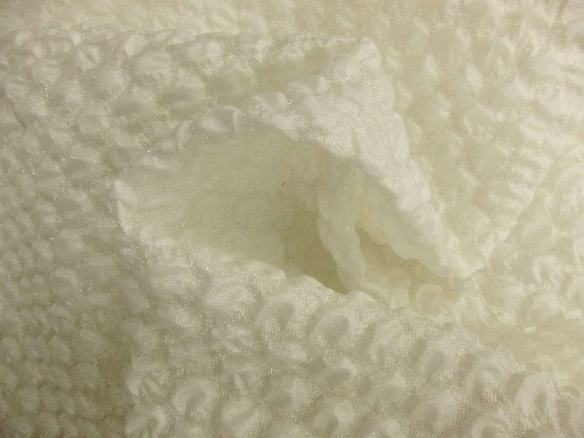 Silk Blend Organza Cloqué1