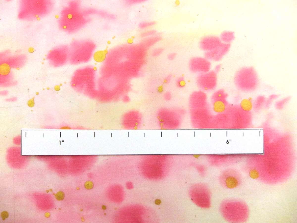 Hand Painted Silk Chiffon2
