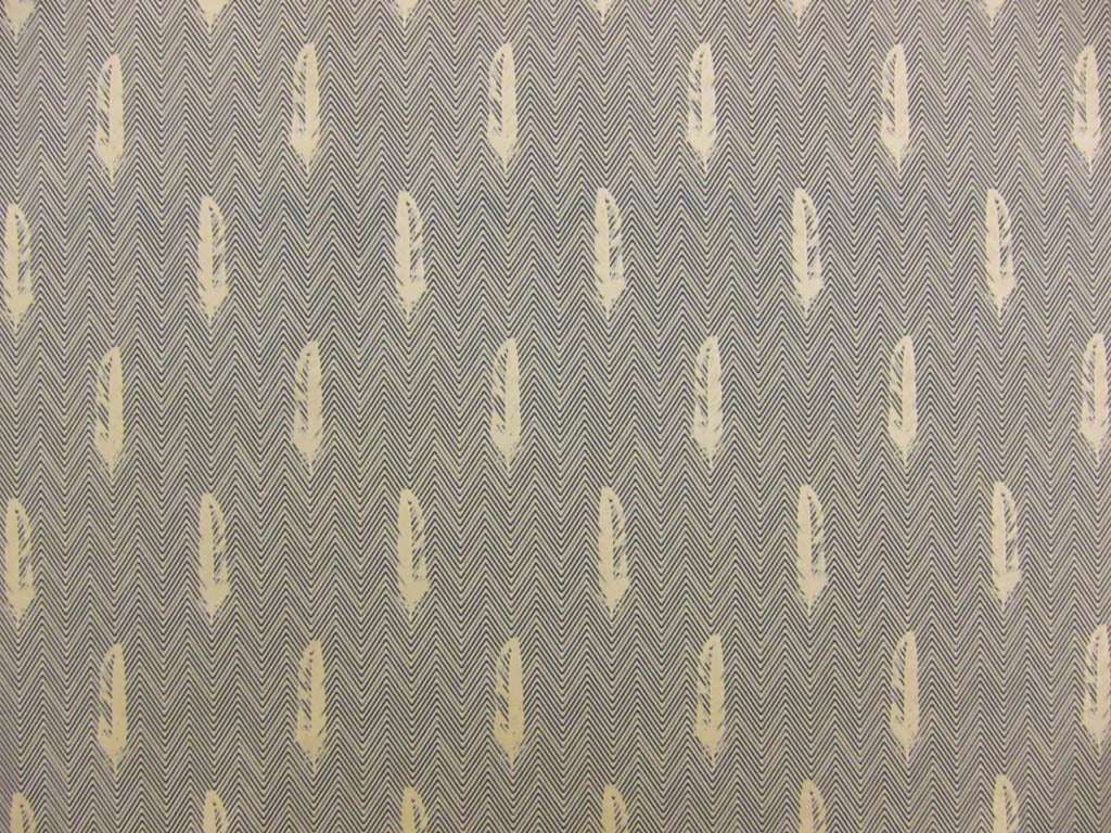 Cotton Broadcloth Print0