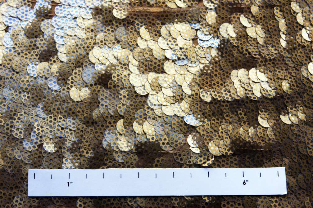 Novelty Paillettes on Silk Chiffon2