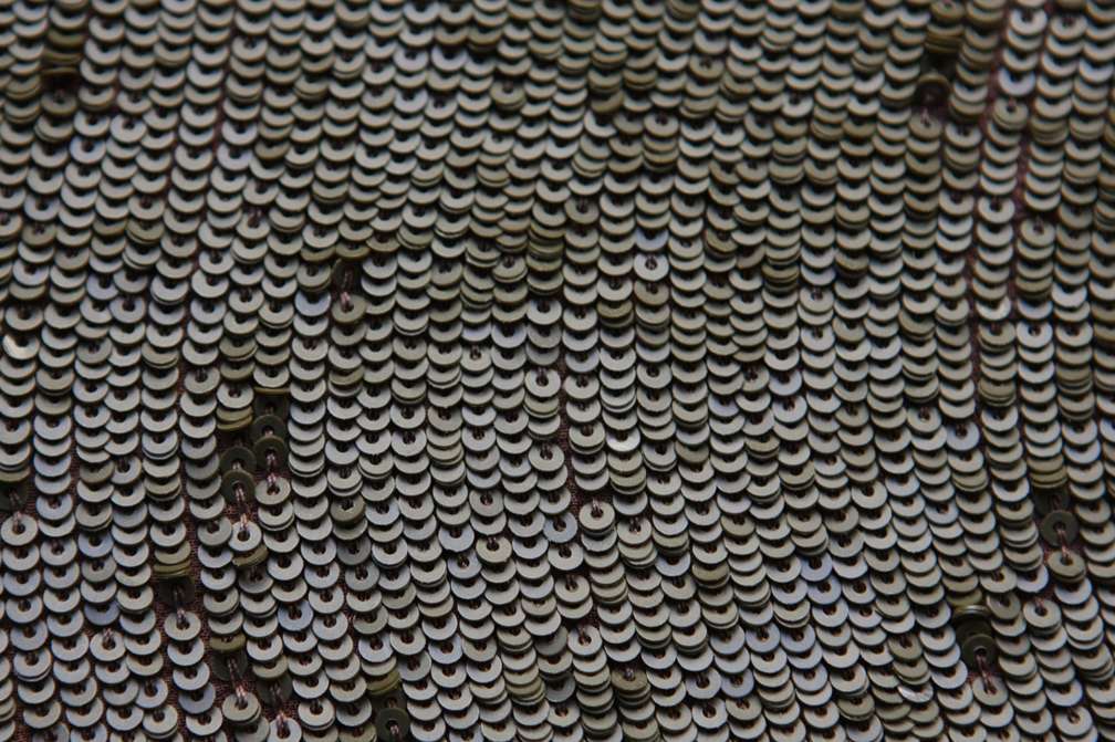 Sequins on Silk Chiffon3