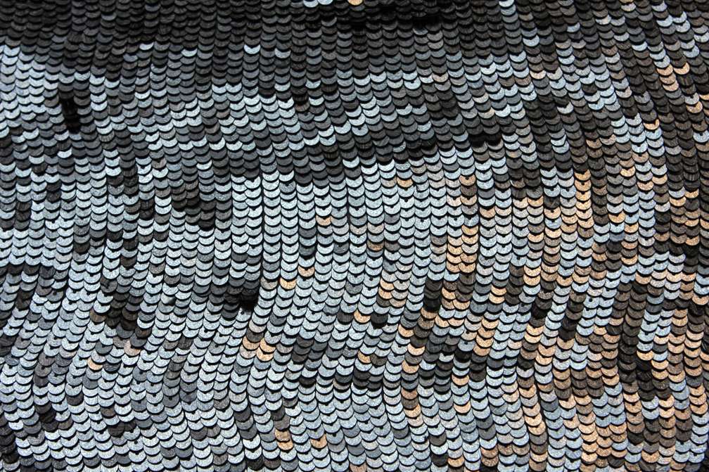 Sequins on Silk Chiffon1