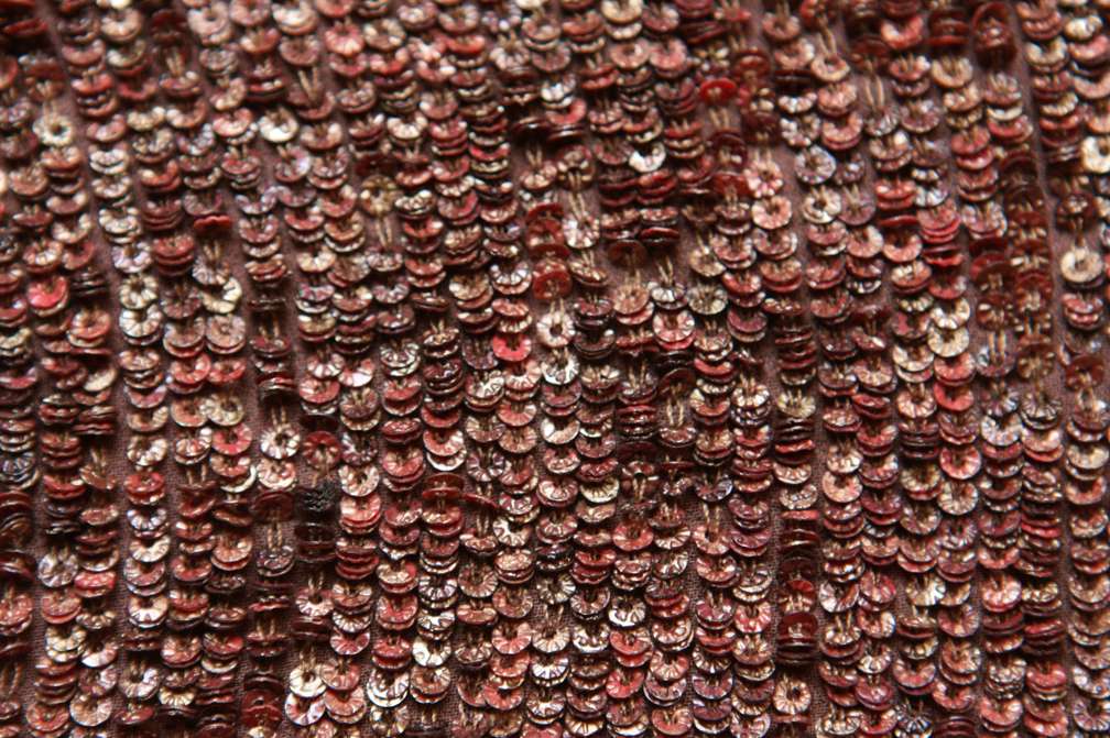 Sequins on Silk Chiffon2