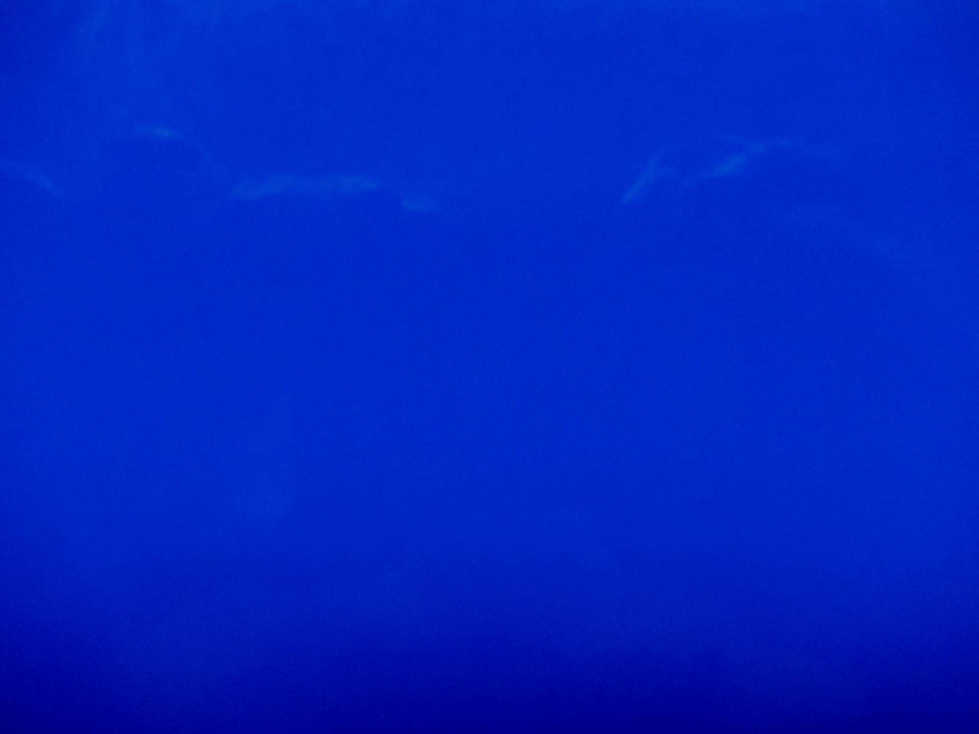 Upholstery Wetlook Vinyl in Blue0