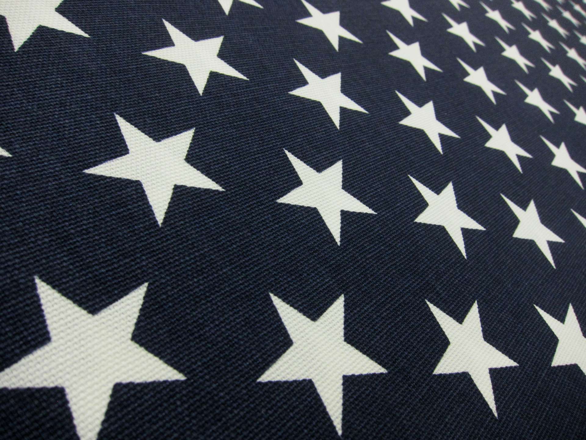 Cotton Canvas StarsPrint2