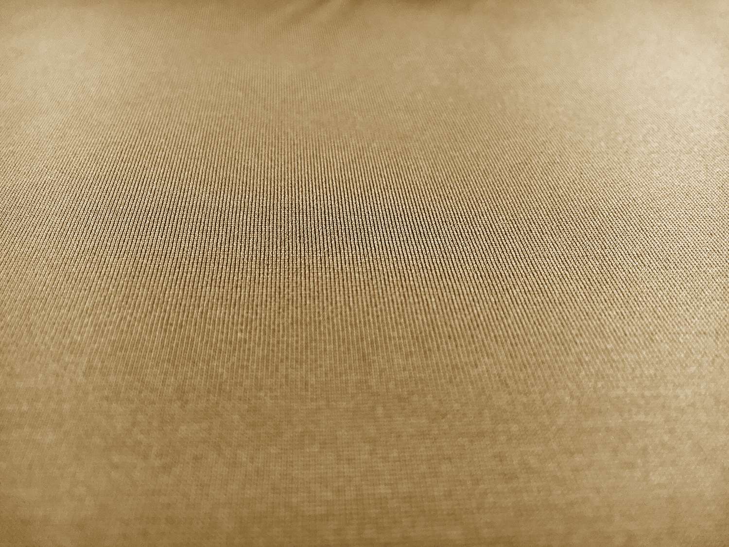 Spandex in Toast