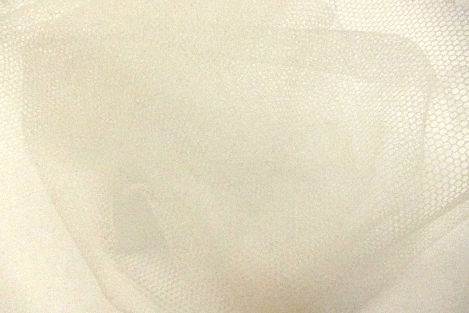 Italian Nylon Tulle in Avorio1