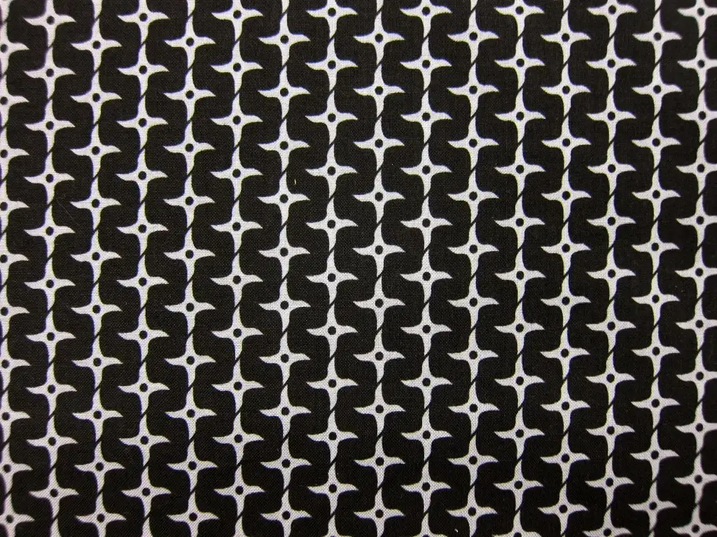 Cotton Broadcloth Print0