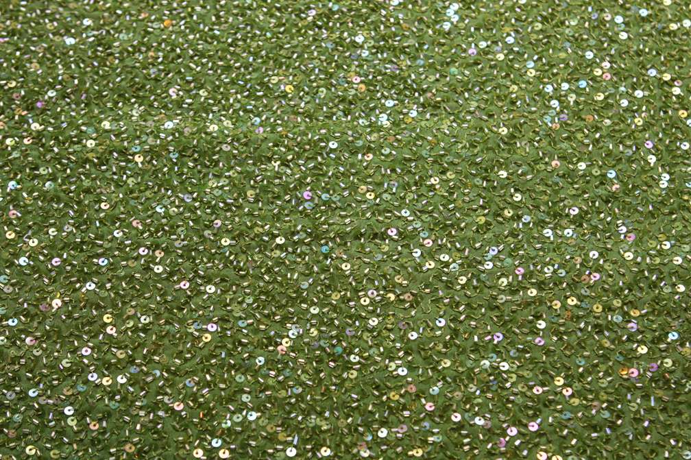 Sequins on Silk Chiffon0