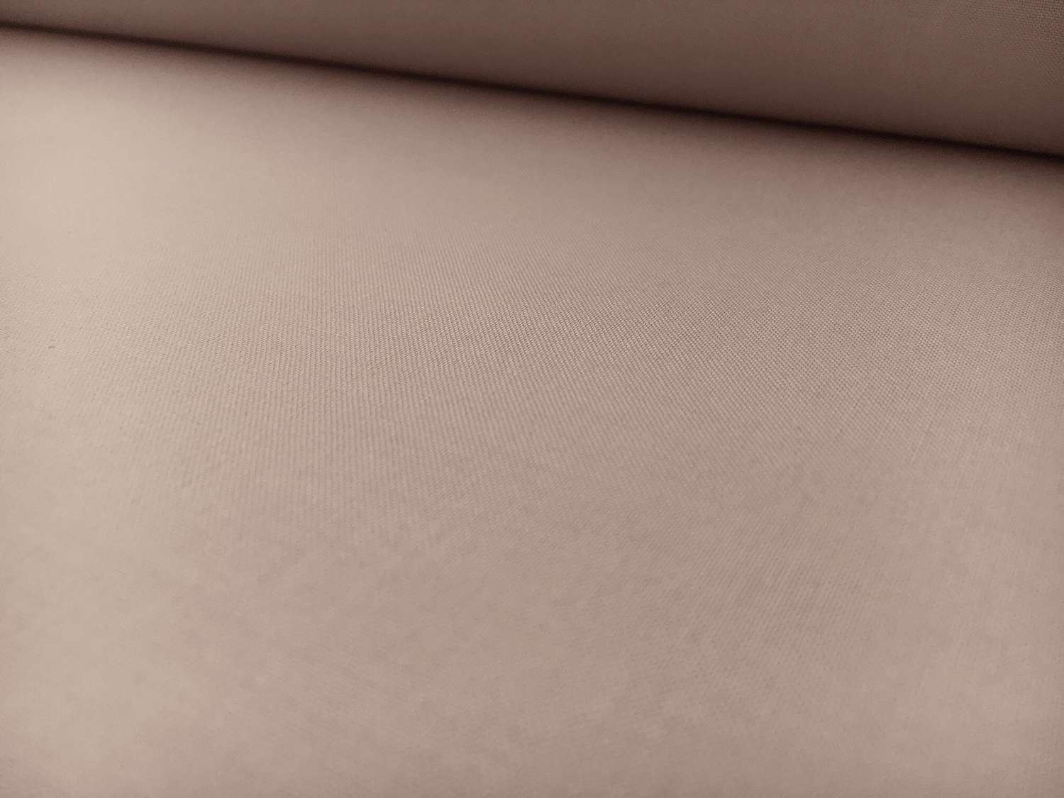 Kona Cotton in Doeskin Beige0
