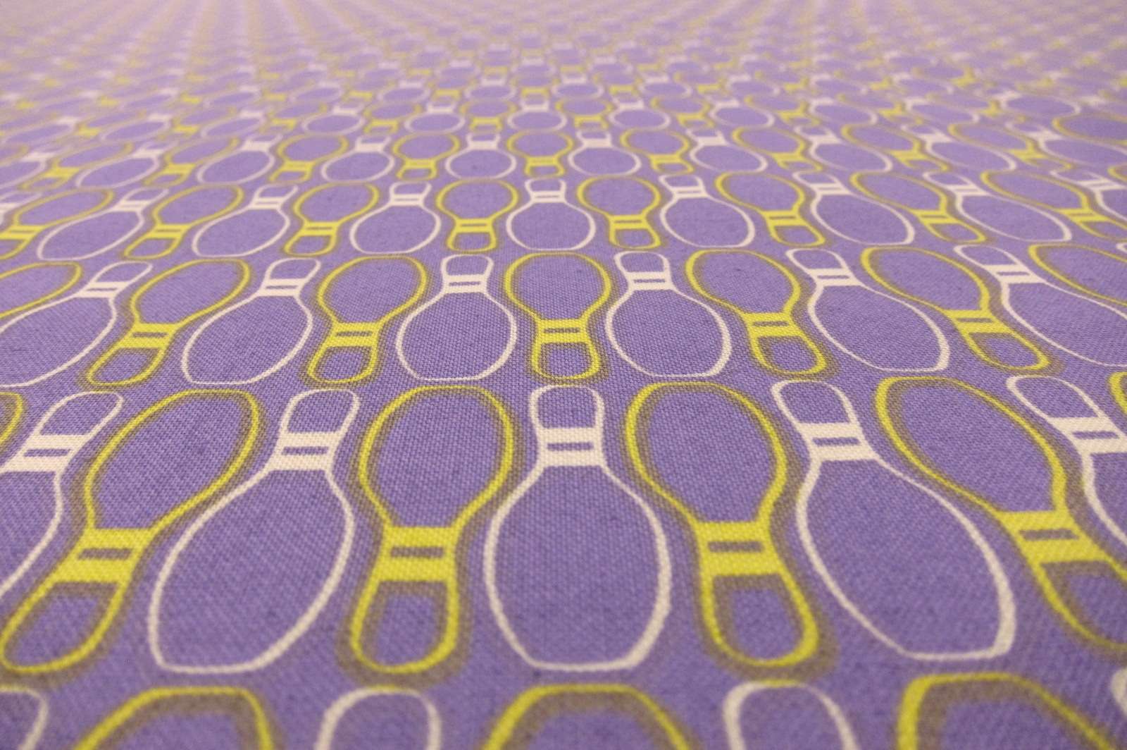 Cotton Broadcloth Print2