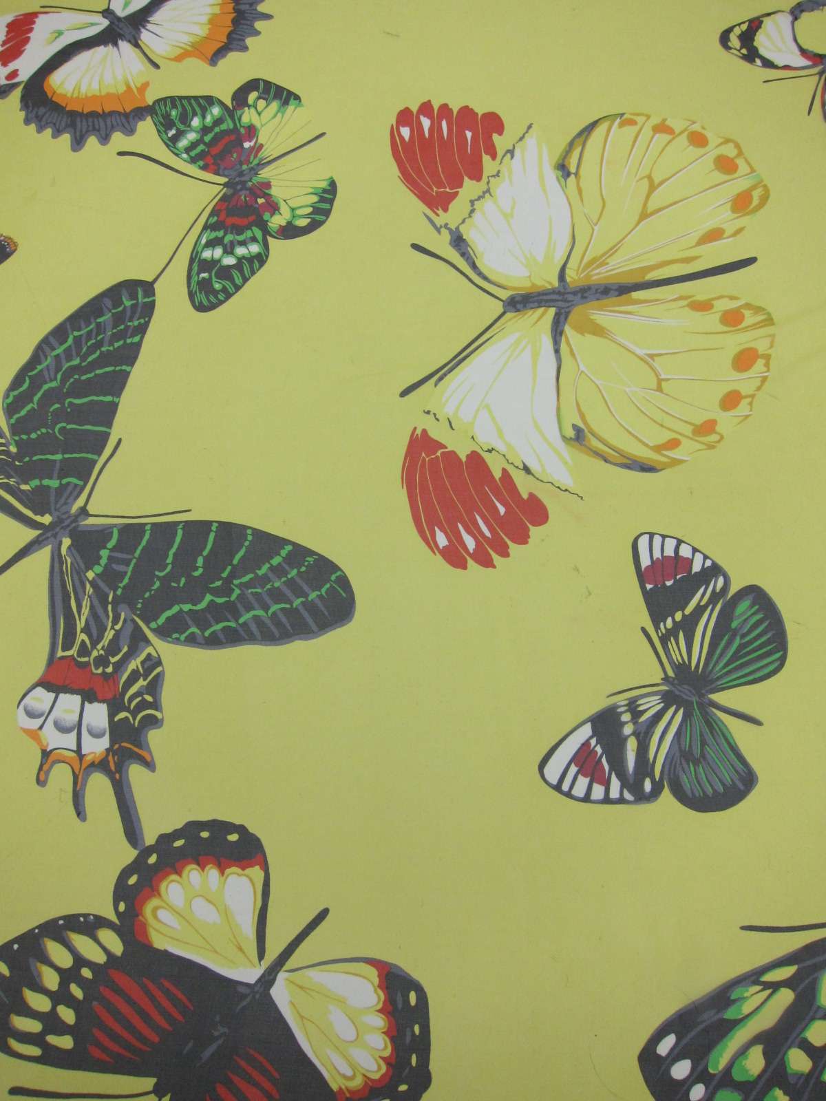 Printed Silk Chiffon Multicolor Butterfly On Yellow Background
