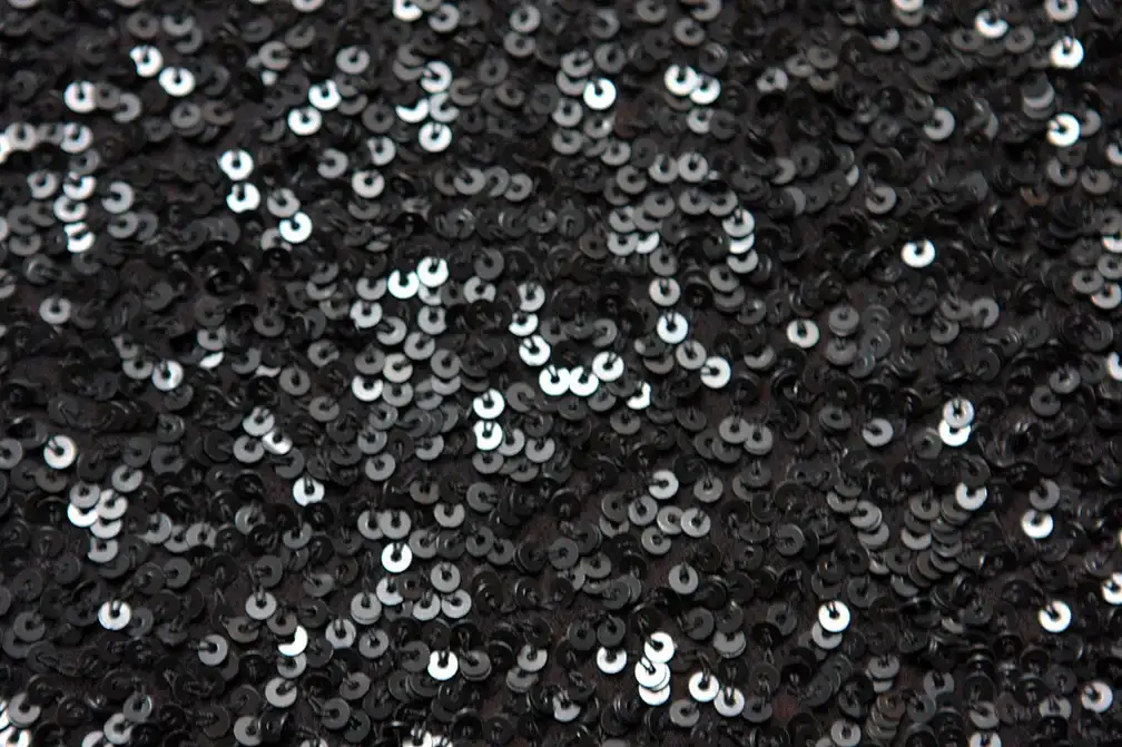 Sequins on Silk Chiffon2