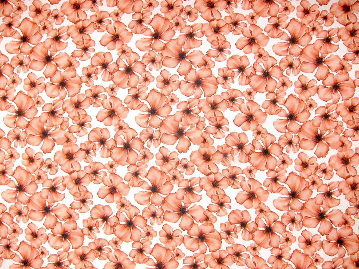 Printed Silk Chiffon0