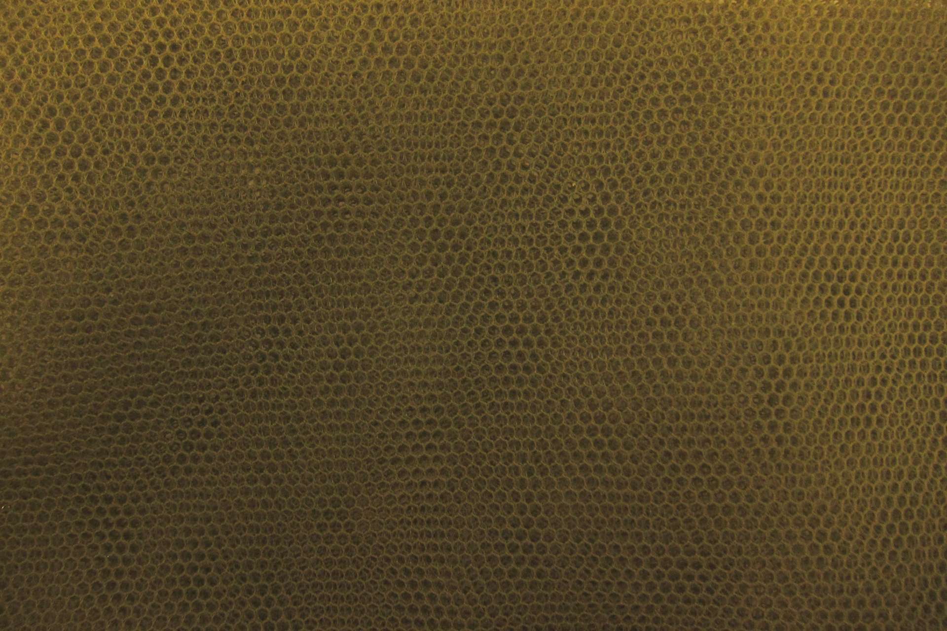 Italian Nylon Tulle in Bosco0
