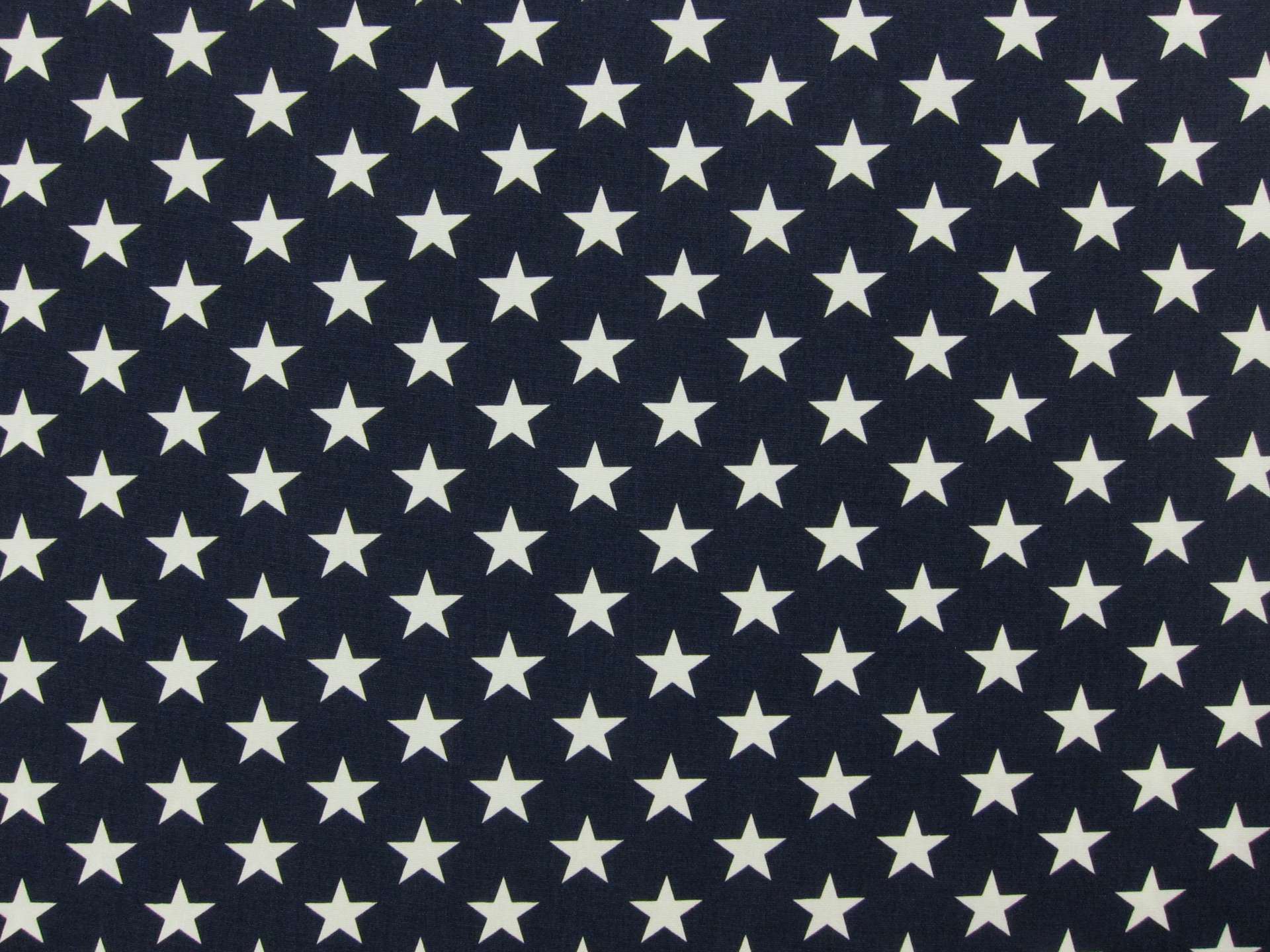 Cotton Canvas Stars Print in Navy